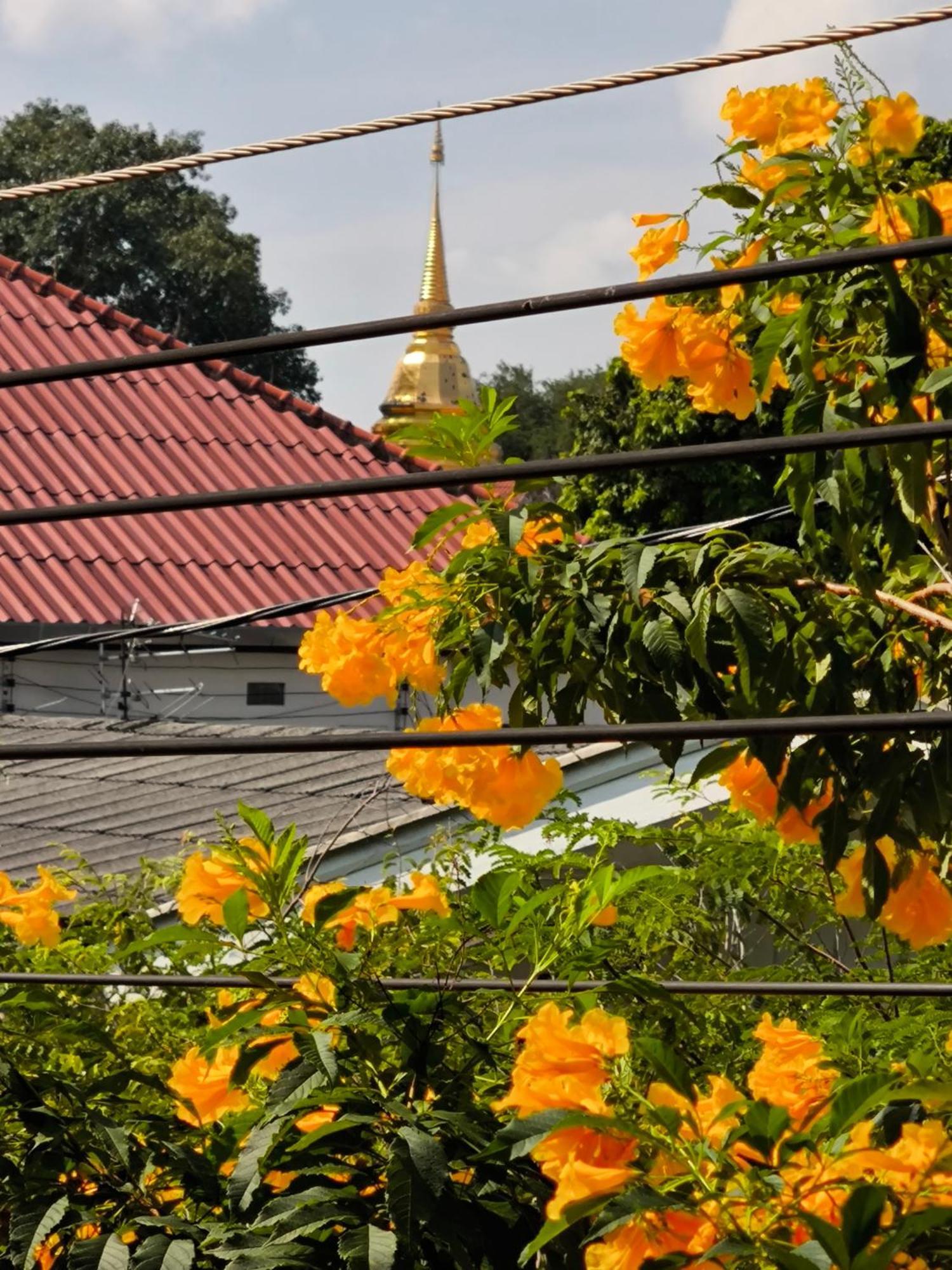 Hotel Ratchiangsaen Flora House à Chiang Mai Extérieur photo